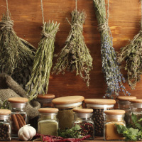 Traditional Medicine Consultancy